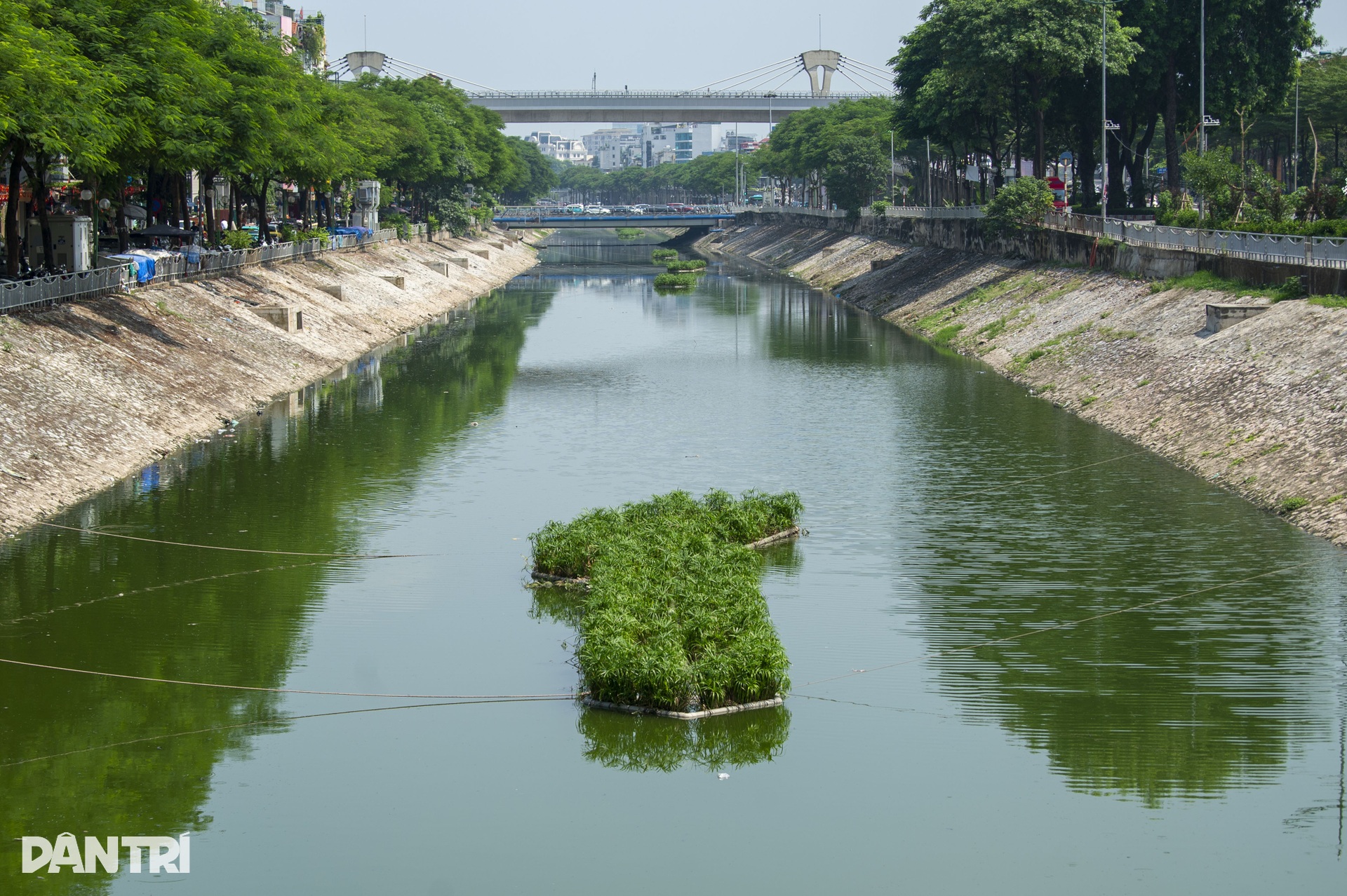 Những gam màu xanh - đen trên dòng sông Tô Lịch - 3 Những gam màu xanh - đen trên dòng sông Tô Lịch - 3