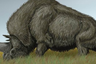 Lần đầu tiên phân tích được DNA của loài kỳ lân Siberia bí ẩn