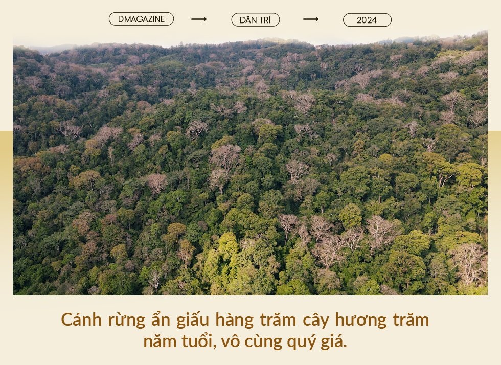 Dựng lán canh báu vật giữa đại ngàn Tây Nguyên - 5 Dựng lán canh báu vật giữa đại ngàn Tây Nguyên - 5