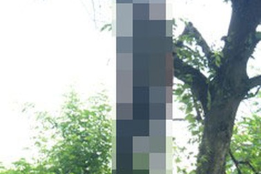 Kinh hoàng phát hiện xác chết treo cổ trên cây