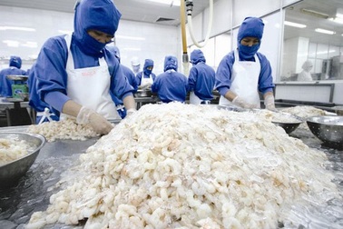 Xuất khẩu tôm thêm khó do Hoa Kỳ tăng thuế chống bán phá giá