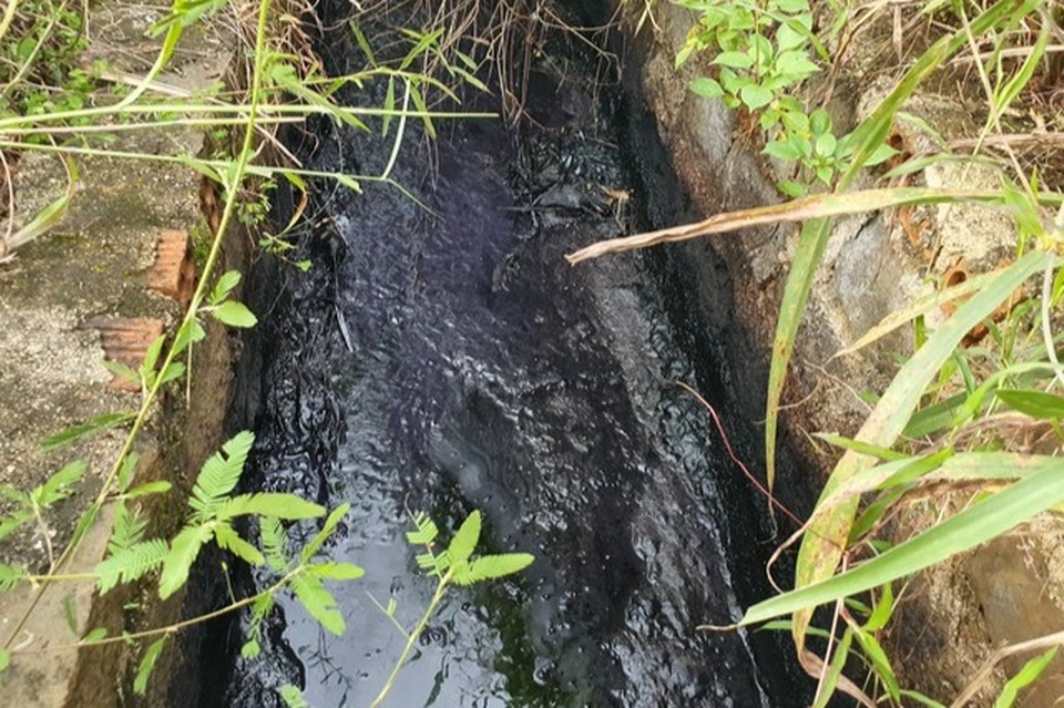 Phó Chủ tịch tỉnh quyết cưỡng chế doanh nghiệp cù nhầy không nộp phạt - 1