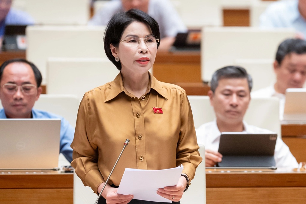 Đại biểu Quốc hội băn khoăn một cuộc thanh tra có thể kéo dài 120 ngày - 3