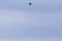 Mỹ công bố nguyên nhân vụ "tia chớp" F-35 rơi tự do rồi nổ tung