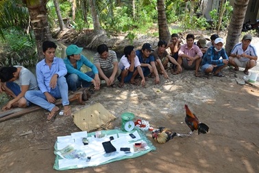 Bắt 15 đối tượng đánh bạc trong ngày lễ