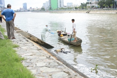 TPHCM: Lại phát hiện xác chết trôi trên kênh