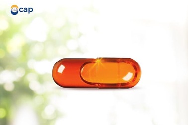 Tác dụng và 3 tiêu chí lựa chọn sản phẩm Vitamin E chất lượng