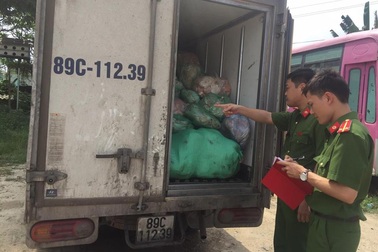 Nửa tấn bì lợn hôi thối suýt tuồn ra thị trường