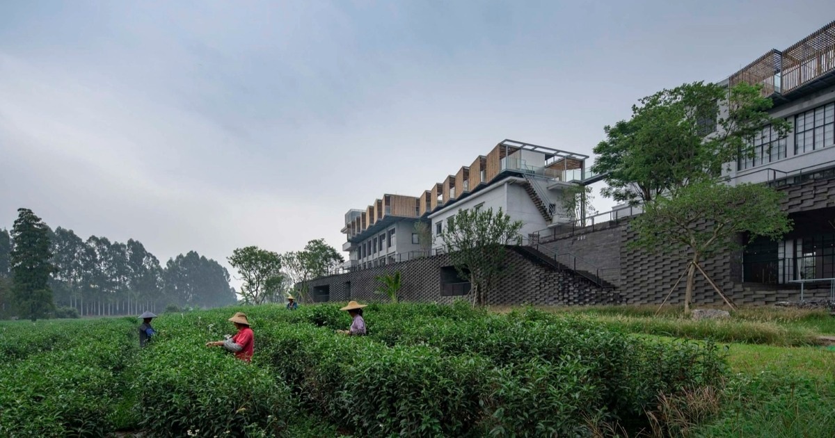 View - Nhà máy chè bỏ hoang ở Trung Quốc biến thành resort 5 sao khi được cải tạo | Báo Dân trí