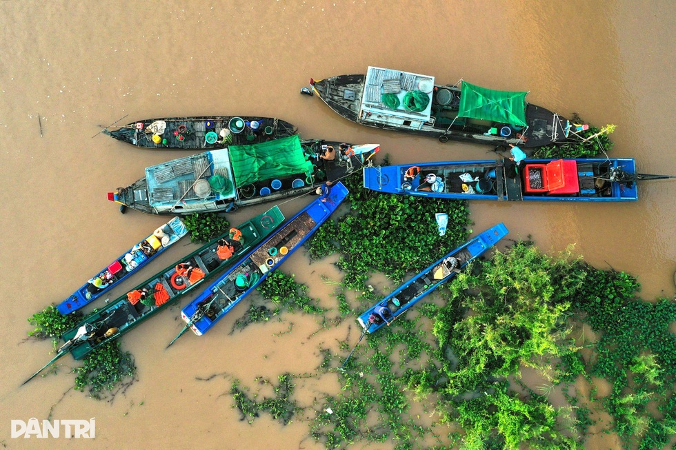 Sông Mekong biến động: Làm sao hài hòa với mùa nước nổi kiểu mới ở miền Tây? - 1 Sông Mekong biến động: Làm sao hài hòa với mùa nước nổi kiểu mới ở miền Tây? - 1
