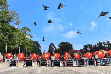 Màn huấn luyện 800 chú chim bồ câu tung cánh tại Quảng trường Ba Đình 2/9