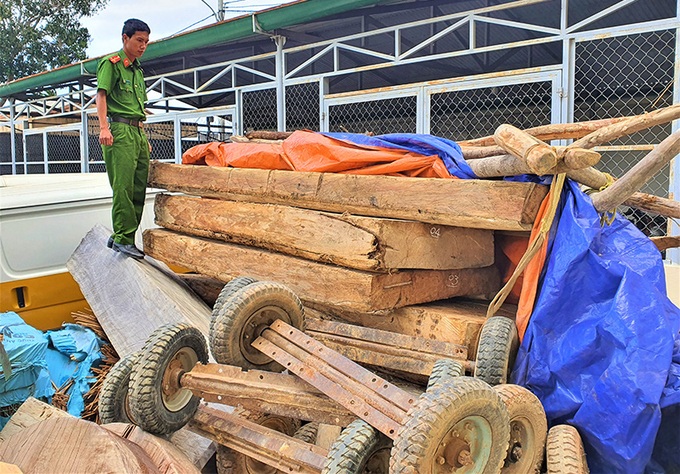 Rừng tại Tây Nguyên bị tàn phá nặng nề - Ảnh 2. Rừng tại Tây Nguyên bị tàn phá nặng nề - Ảnh 2.