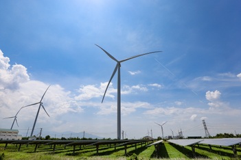 Doanh nghiệp điện gió kêu cứu vì bị cắt giảm công suất kéo dài