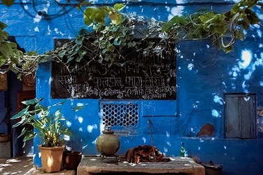 Vẻ đẹp của thành phố màu xanh nổi tiếng thế giới