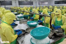 Gói hỗ trợ 38.000 tỷ đồng: Chi trả kịp thời, không bỏ sót đối tượng