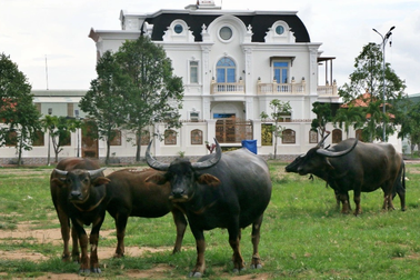 Cần Thơ: Loạt dự án bất động sản ở vị trí đắc địa bị "đứng hình"