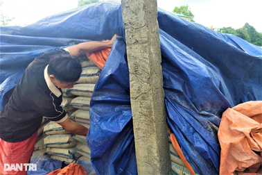 Vụ "vứt xó" hơn 200 tấn xi măng ở Hà Tĩnh: Khởi tố chủ tịch xã