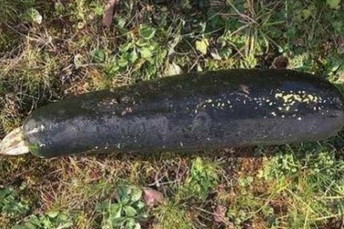 Phát hiện bất ngờ với “quả bom Thế chiến 2” tìm được trong vườn