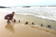 Xác tàu cổ ở biển Hội An: Có thể là ghe chở hàng thế kỷ 19