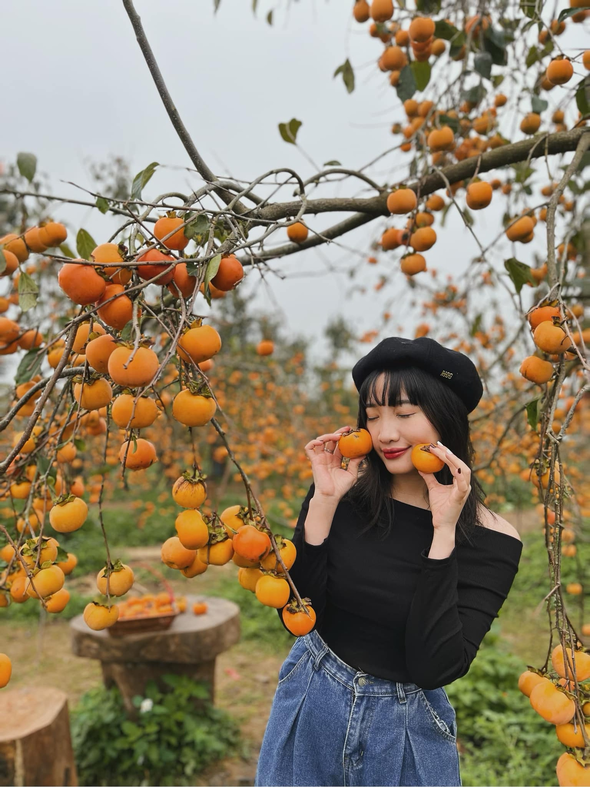 Mê mẩn vườn hồng Mộc Châu, du khách khắp nơi đổ xô về săn ảnh đẹp - 7 Mê mẩn vườn hồng Mộc Châu, du khách khắp nơi đổ xô về săn ảnh đẹp - 7