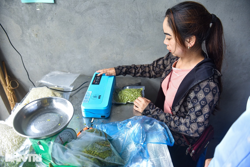 Phát triển vùng trồng nếp tan - loại gạo tạo ra đặc sản cốm ở Mù Cang Chải - 6 Phát triển vùng trồng nếp tan - loại gạo tạo ra đặc sản cốm ở Mù Cang Chải - 6
