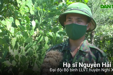 Bộ đội Hà Tĩnh diễn tập đánh địch đổ bộ trên biển