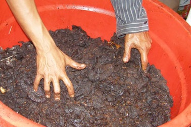 Phù phép lòng bò thành khô bò