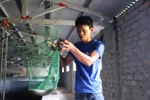 Câu chuyện khởi nghiệp của chàng kỹ sư với 4.000 con cá chình