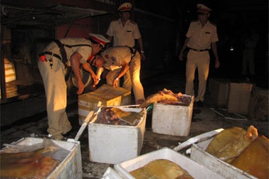 Bắt giữ xe khách chở gần 1 tấn thịt lợn “bốc mùi”