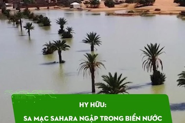 Hy hữu: Sa mạc Sahara ngập trong biển nước chỉ sau một ngày