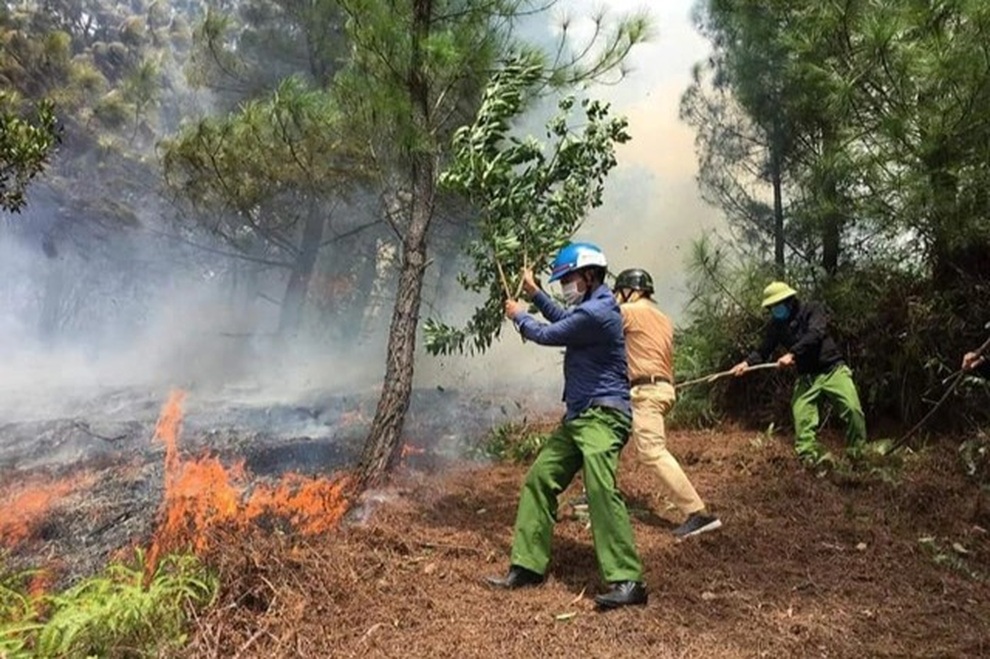 Phát hiện người đàn ông chết cháy trong vườn keo của gia đình - 1 Phát hiện người đàn ông chết cháy trong vườn keo của gia đình - 1