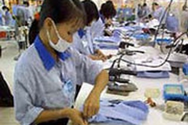 Tạm ngừng cấp visa tự động 2 mã hàng