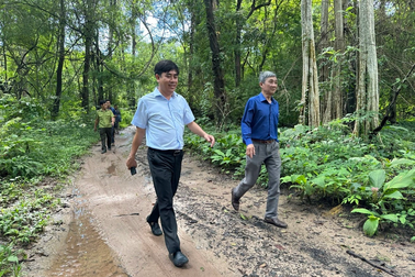 Cơ quan của Quốc hội giám sát dự án hồ chứa nước lấy hơn 600ha rừng