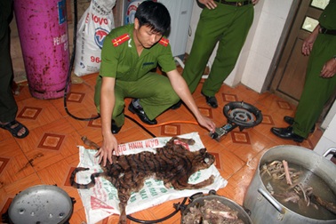 Bắt quả tang vụ nấu cao hổ giữa ban ngày