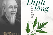 Chuyên gia giải mã tác dụng của sâm quý Đinh Lăng