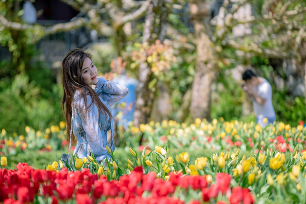 Tết đến Bà Nà Hills xem show xe cổ độc đáo - 4 Tết đến Bà Nà Hills xem show xe cổ độc đáo - 4