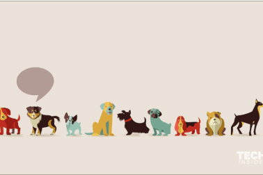 Tại sao chú chó của bạn có các loại tiếng sủa khác nhau?