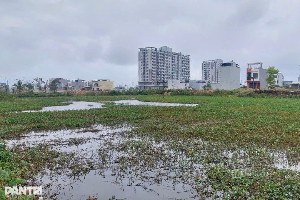Nông dân bỏ ruộng hoang vì dự án thi công chặn mương thoát nước - 2 Nông dân bỏ ruộng hoang vì dự án thi công chặn mương thoát nước - 2