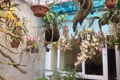 Ảnh dự thi số 10: Lan khoe sắc nơi “đất chật người đông”