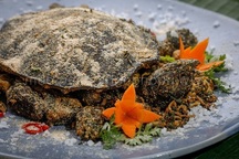 Sốc phản vệ vì ăn ba ba: Làm sao để phòng tránh?