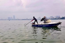 Hà Nội: Đánh tỉa bớt cá, xử lý tảo nổi để hạn chế cá chết ở hồ Tây