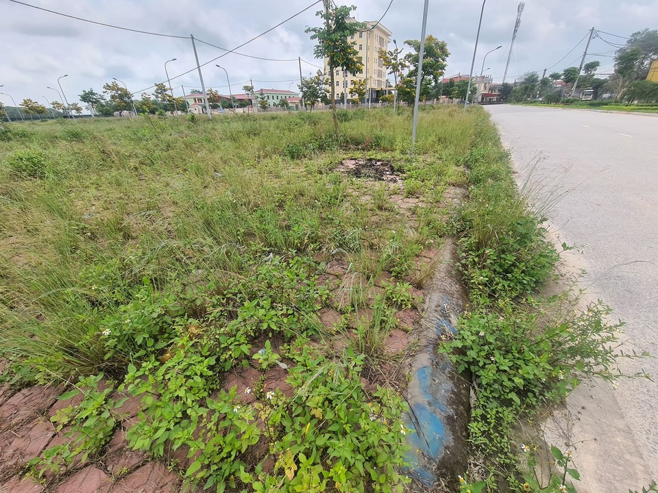 Vay tiền ngân hàng ôm đất khi sốt, nhà đầu tư ôm bom? - 2 Vay tiền ngân hàng ôm đất khi sốt, nhà đầu tư ôm bom? - 2
