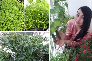 Ca sĩ Hà Vân khoe “vườn rau trên không”