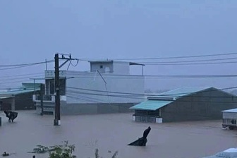 Hoàn tất sơ tán 320 người bị cô lập trong vùng lũ nguy hiểm tại Đắk Lắk