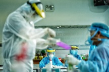 Lây lan Covid-19 ra cộng đồng, tiếp viên hàng không đối diện hình phạt nào?