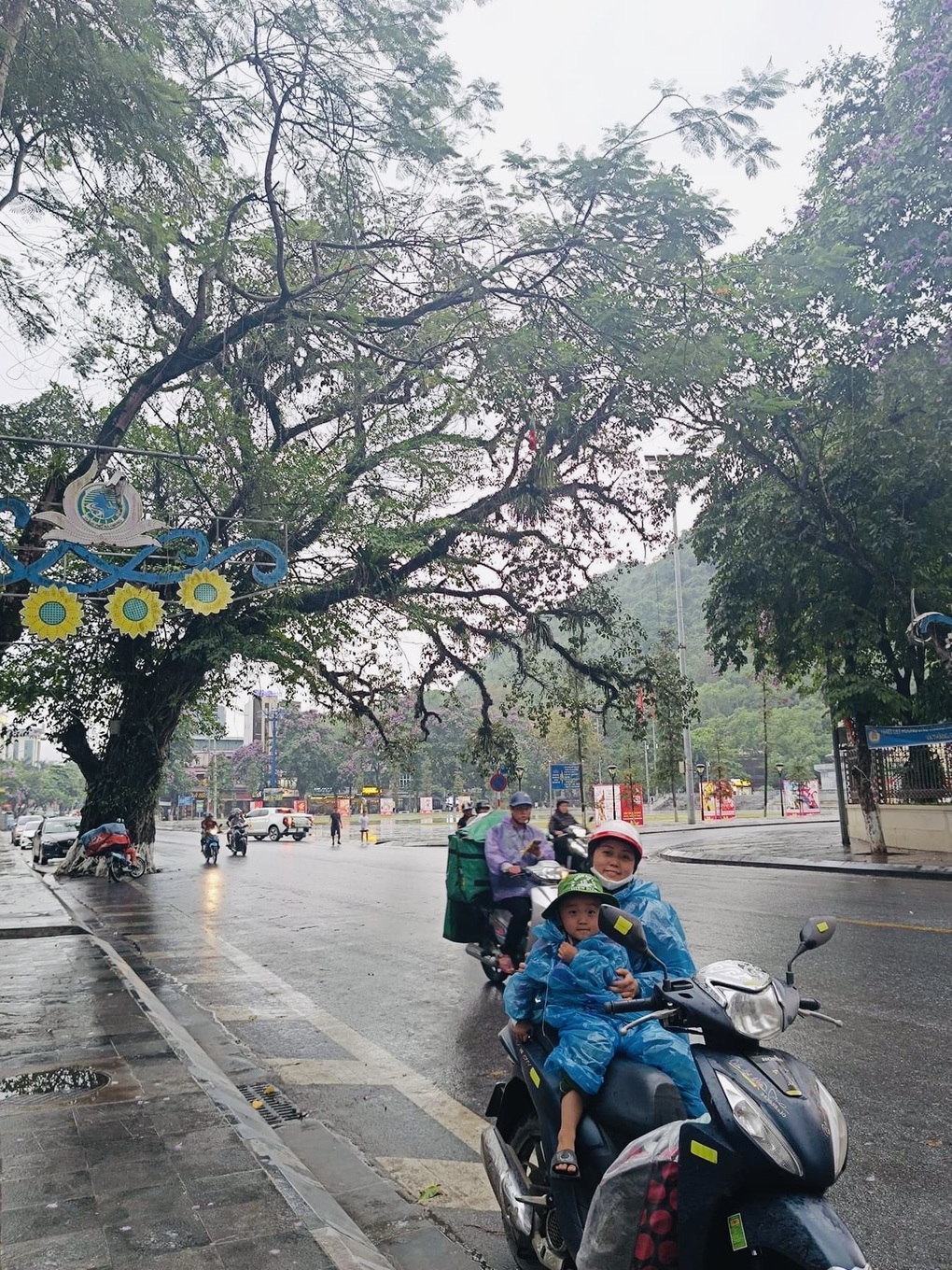 Phượt thủ tiếc nuối chia sẻ ảnh cây đa trăm tuổi bị đổ ở cột mốc số 0 - 2 Phượt thủ tiếc nuối chia sẻ ảnh cây đa trăm tuổi bị đổ ở cột mốc số 0 - 2