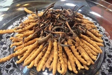 Quà Tết "siêu xịn" giá 1,7 tỷ đồng/kg, chỉ có đại gia mới dám xuống tiền