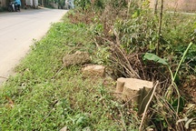 Thêm một xã ở Hà Nội bất ngờ chặt hàng loạt cây xanh