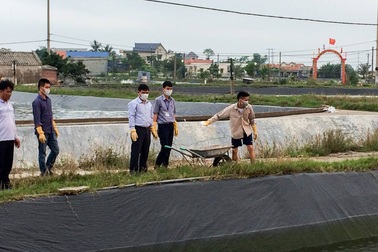 Người nuôi tôm lo lắng trước vi rút đốm trắng và bệnh gan tụy xuất hiện trên tôm nuôi