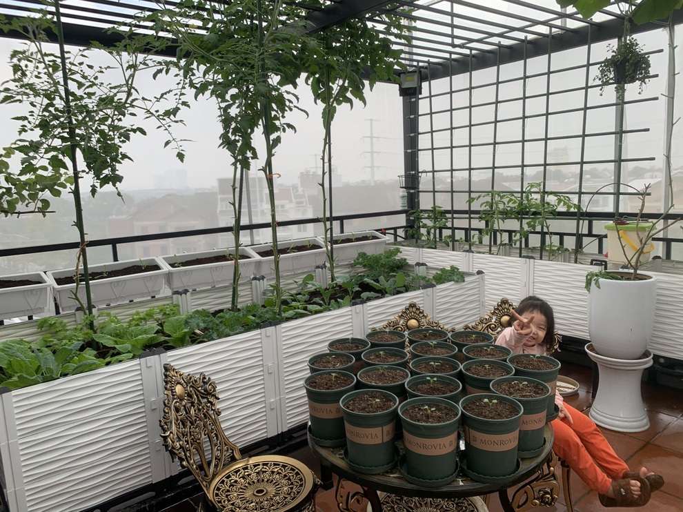 Mãn nhãn với khu vườn trên mây của một gia đình ở Hà Nội - 4 Mãn nhãn với khu vườn trên mây của một gia đình ở Hà Nội - 4
